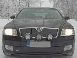 Maskisuoja Skoda Octavia II 2004-07 alaritilään